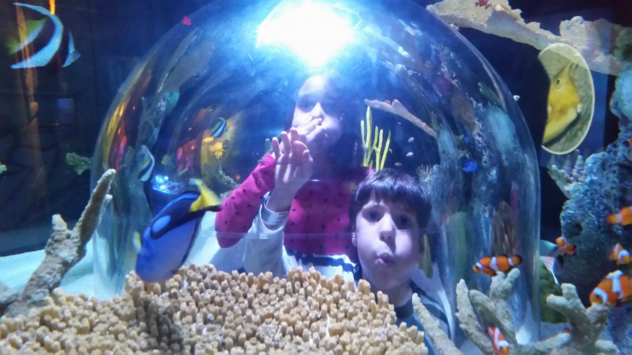Lisa and Thomas at the SEA LIFE aquarium dome