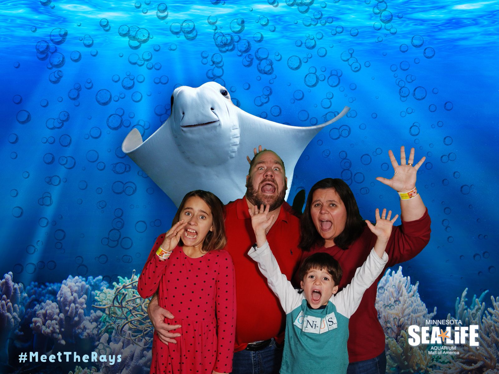 Our photo with the rays at SEA LIFE