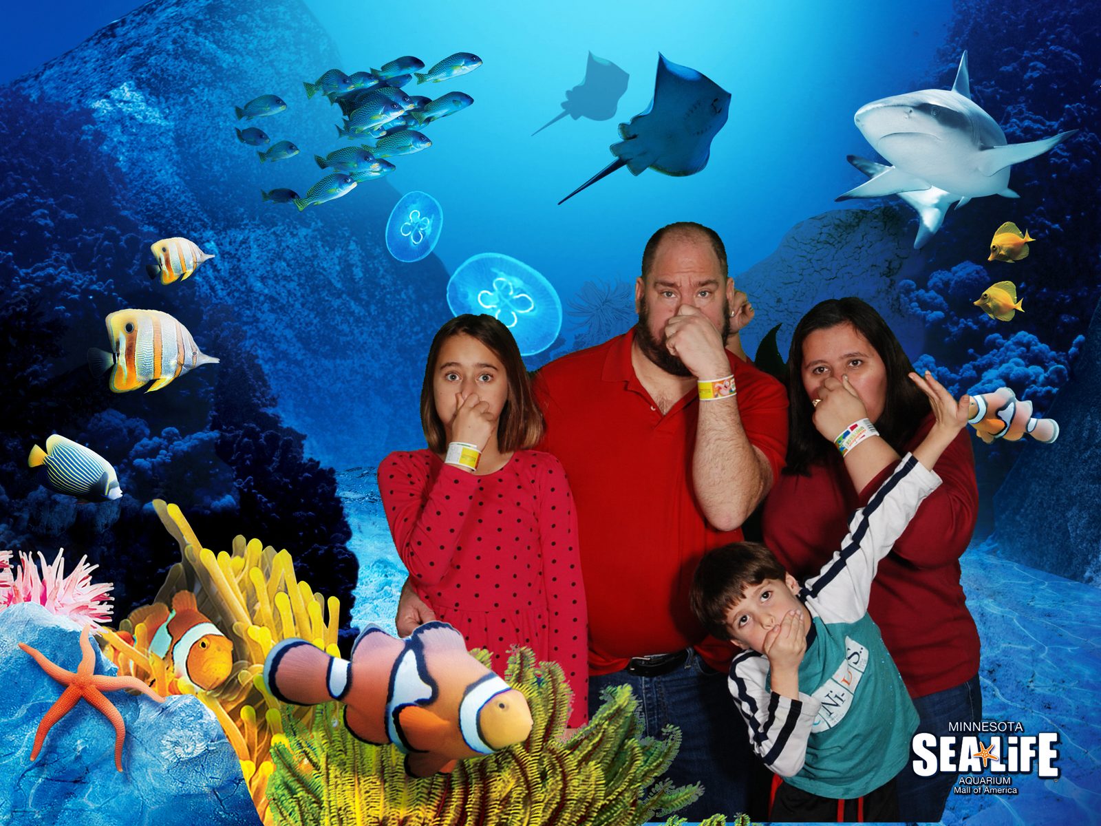 The four of us in the SEA LIFE aquarium photo