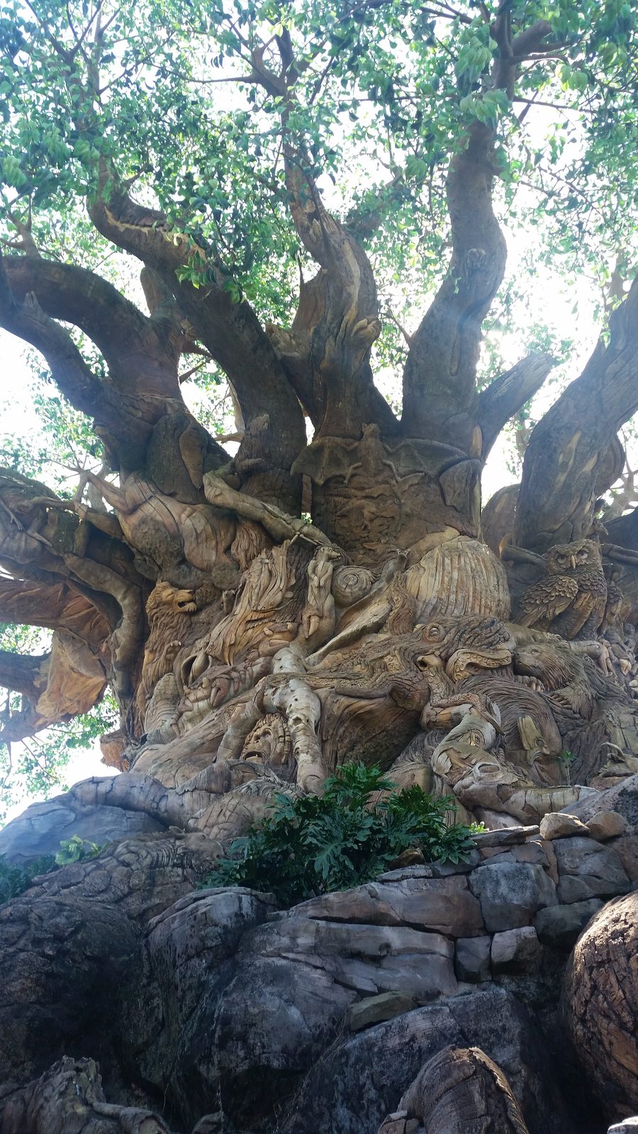 Detail of the Tree of Life carvings