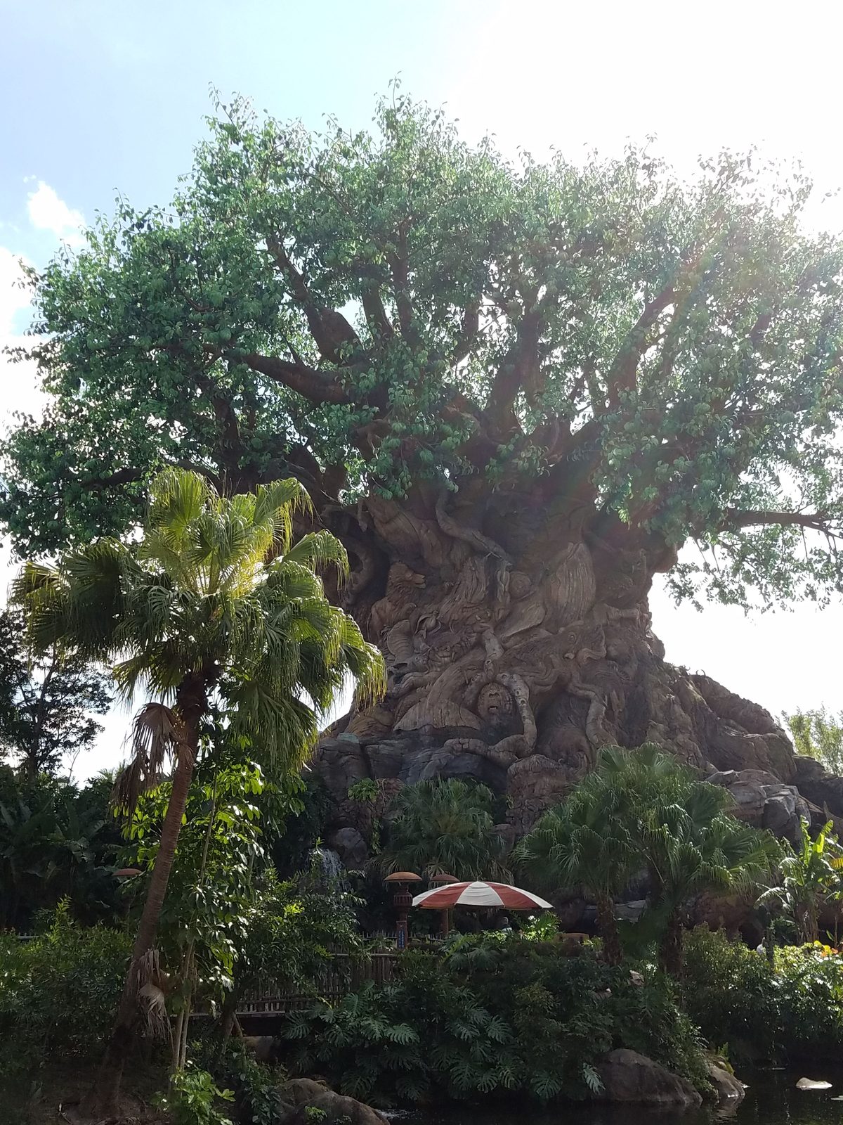 The Tree of Life at Animal Kingdom