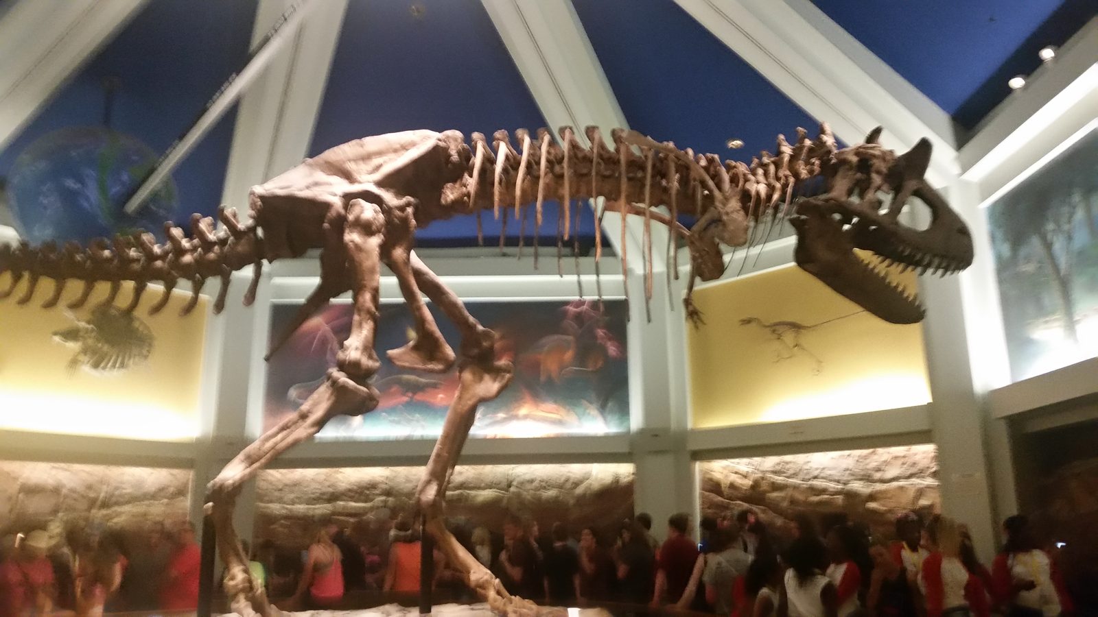 Dinosaur skeleton at the DINOSAUR ride
