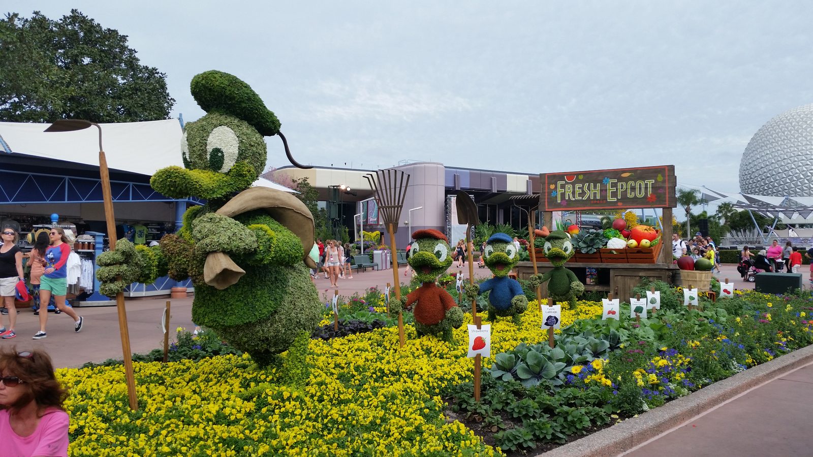 Donald topiary by the Epcot market stand