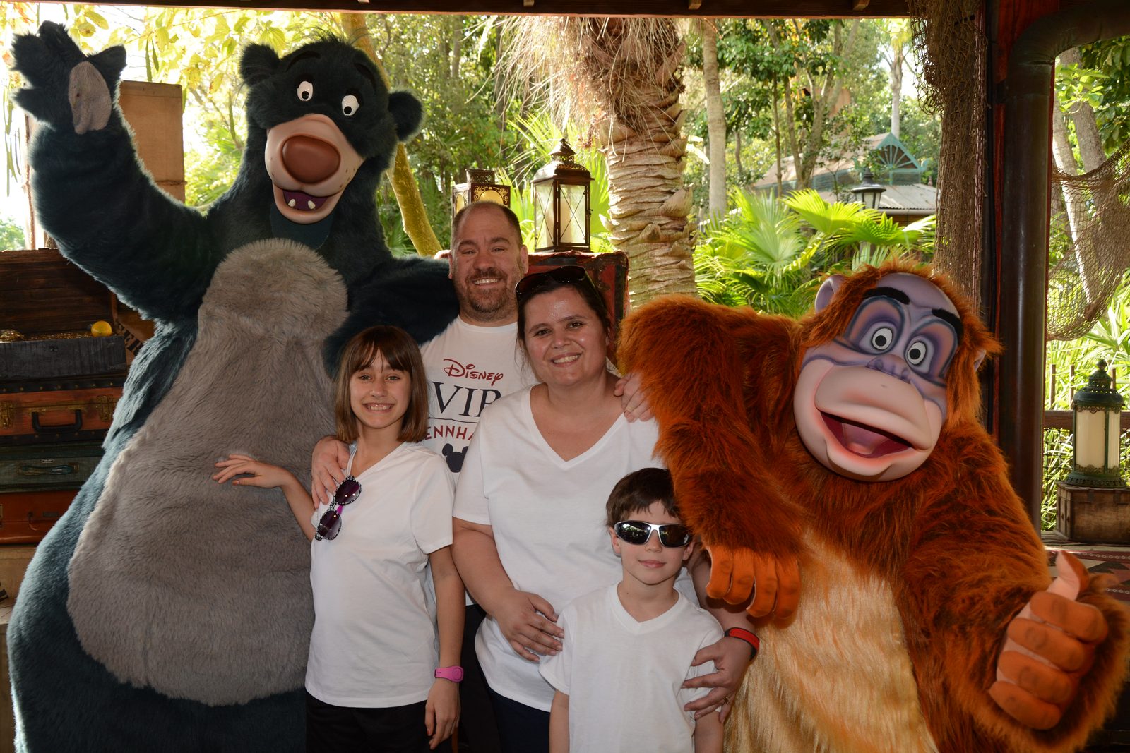 All of us meet Baloo and King Louie