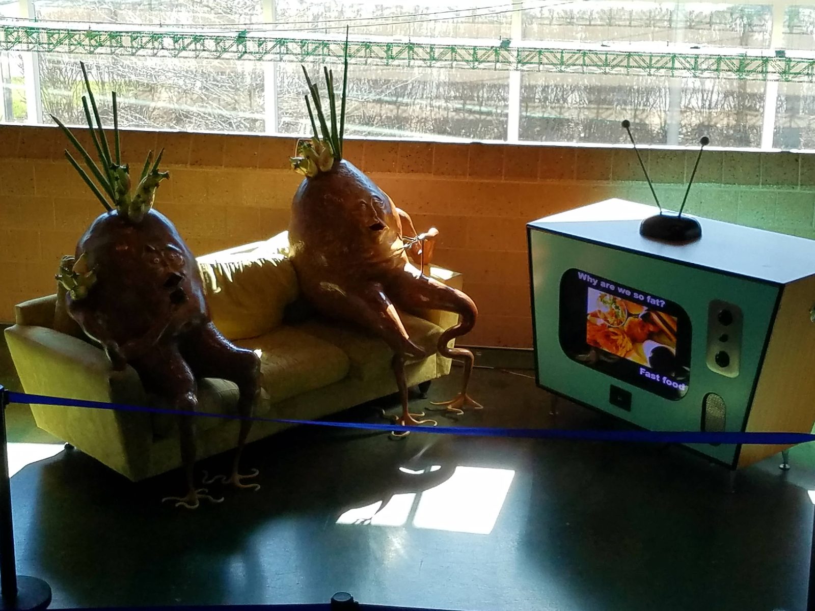 The couch potato exhibit, literally