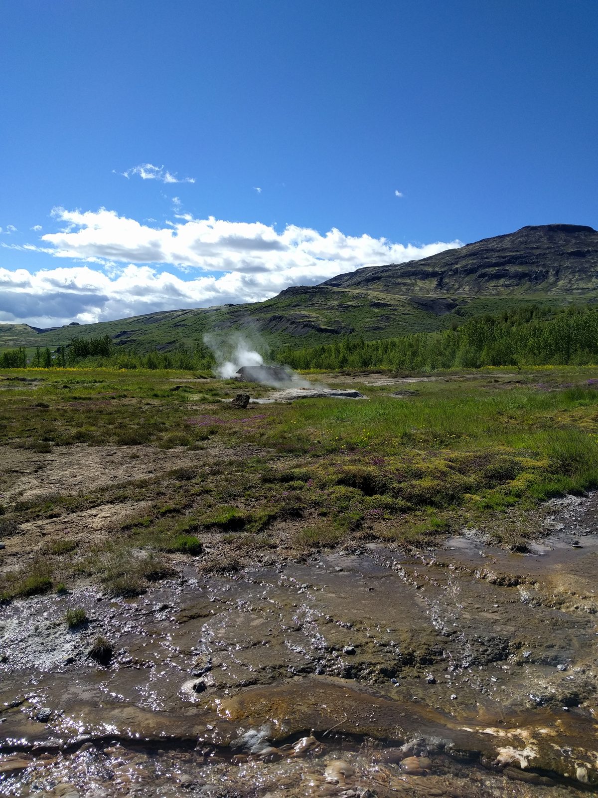 Steam rising at Geysir