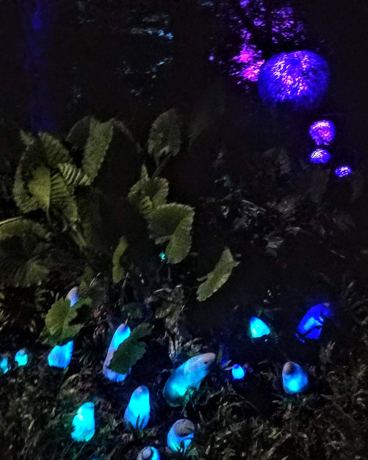 Pandora's plants glowing after dark