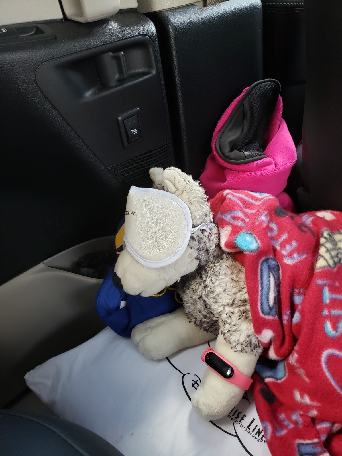 Our travel buddies buckled in for the drive north