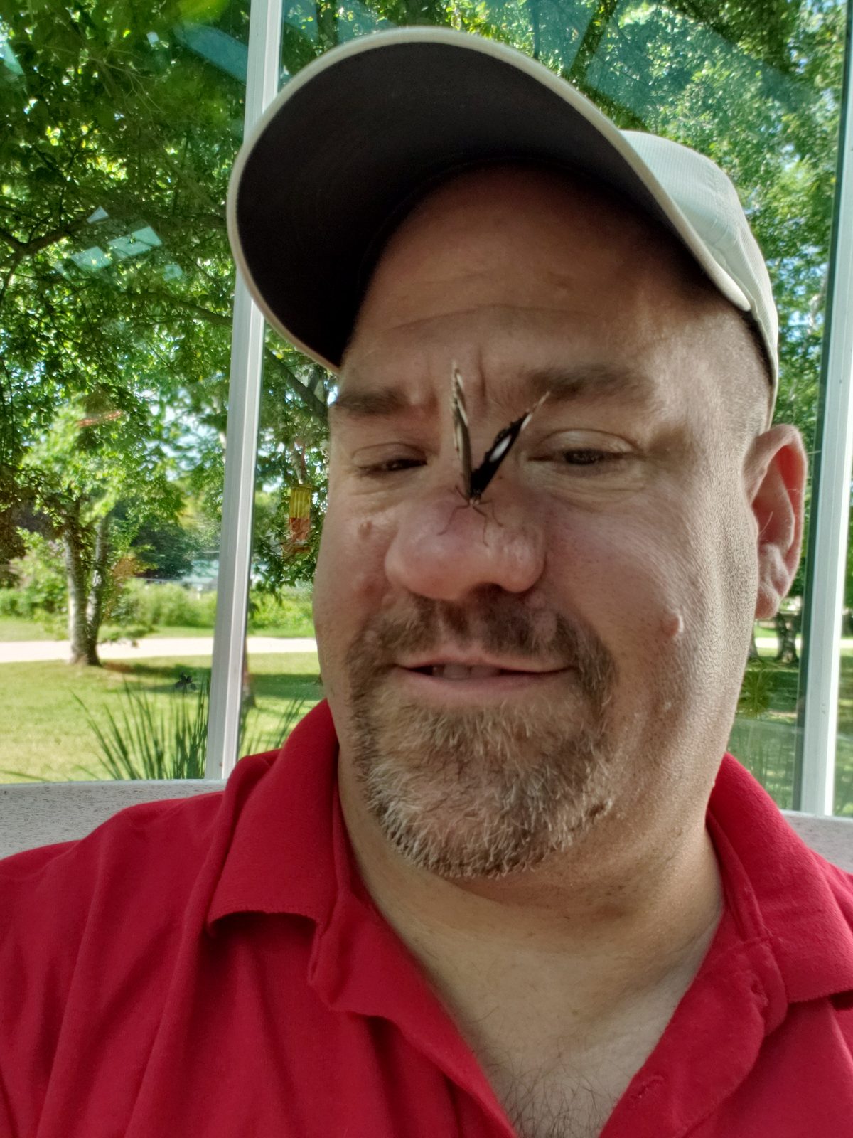 A butterfly on my nose in the butterfly house