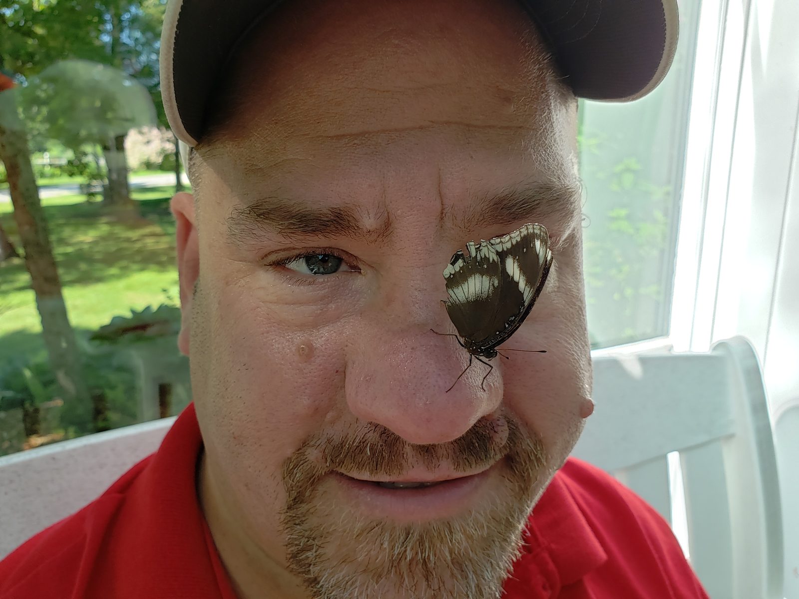 A butterfly lands right on my face