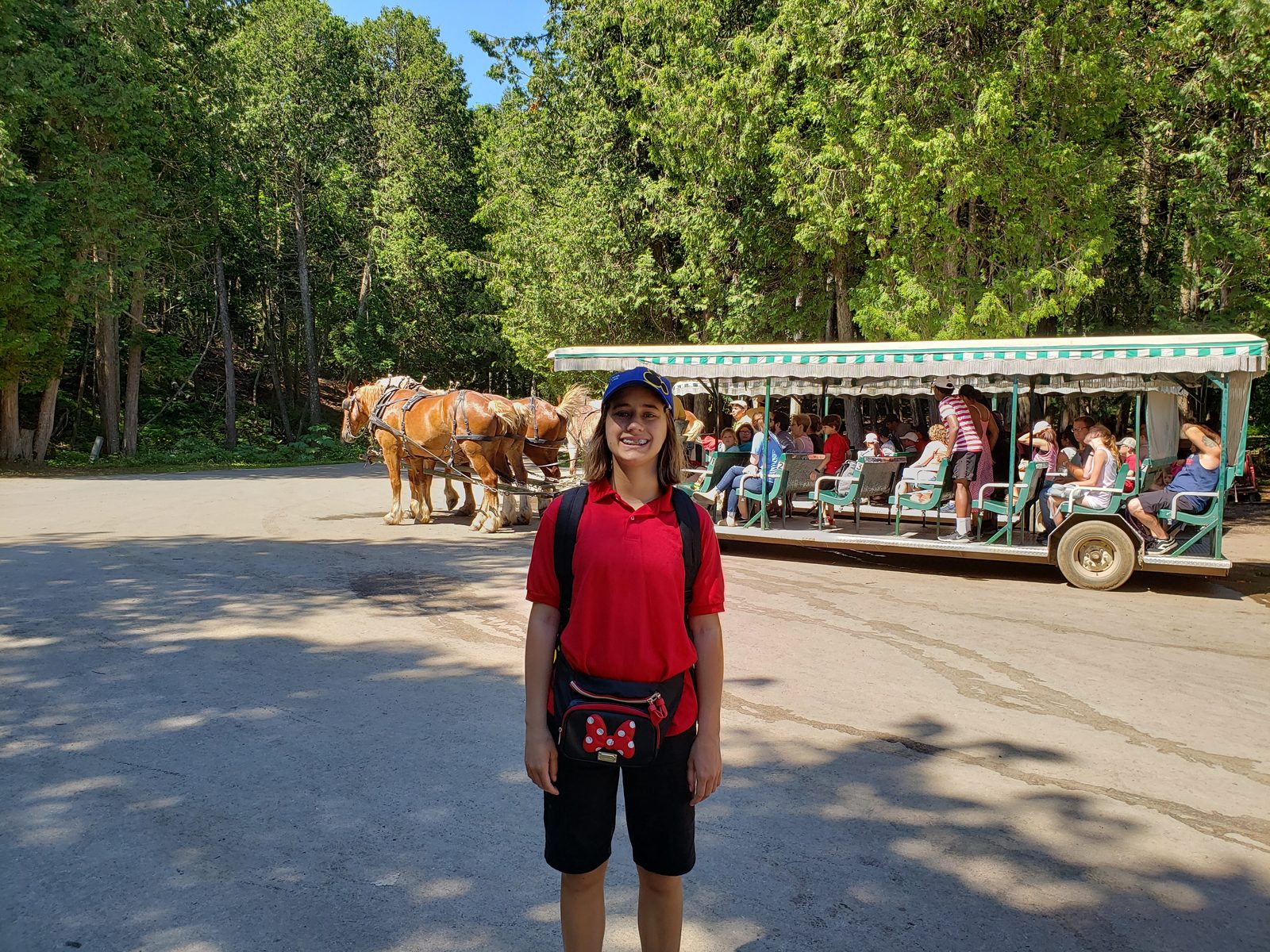 Lisa by the horse-drawn carriage tour on Mackinac Island