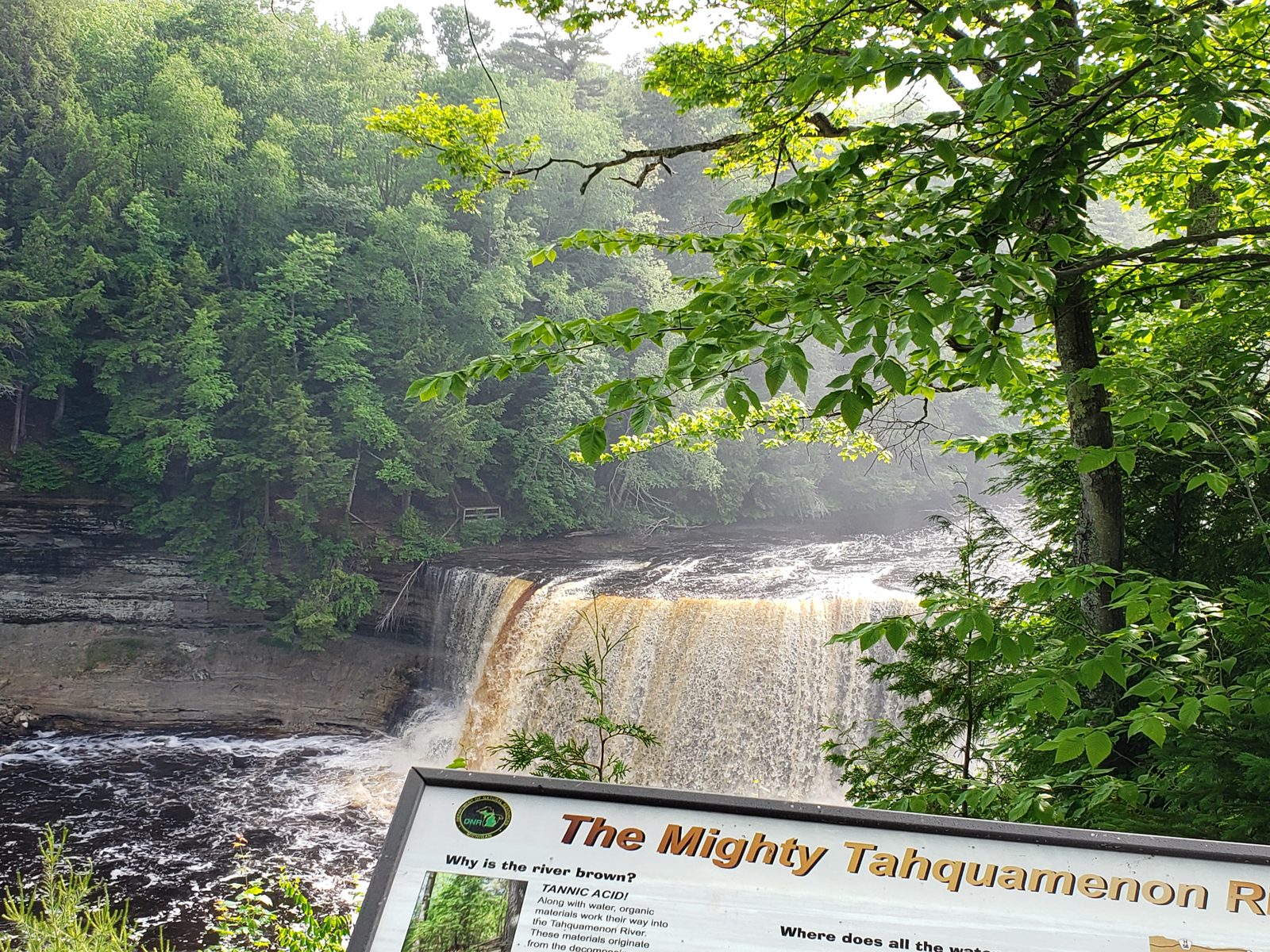 The Mighty Tahquamenon Falls