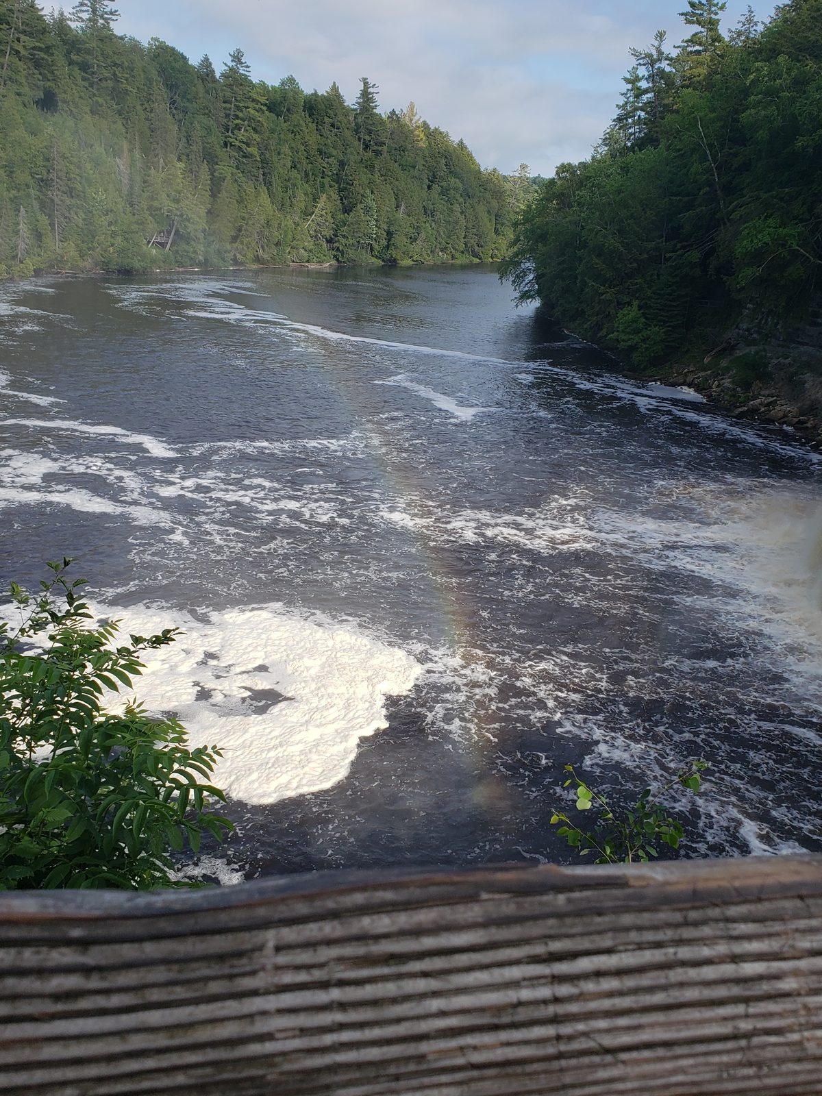 A rainbow rises out of the falls' mist