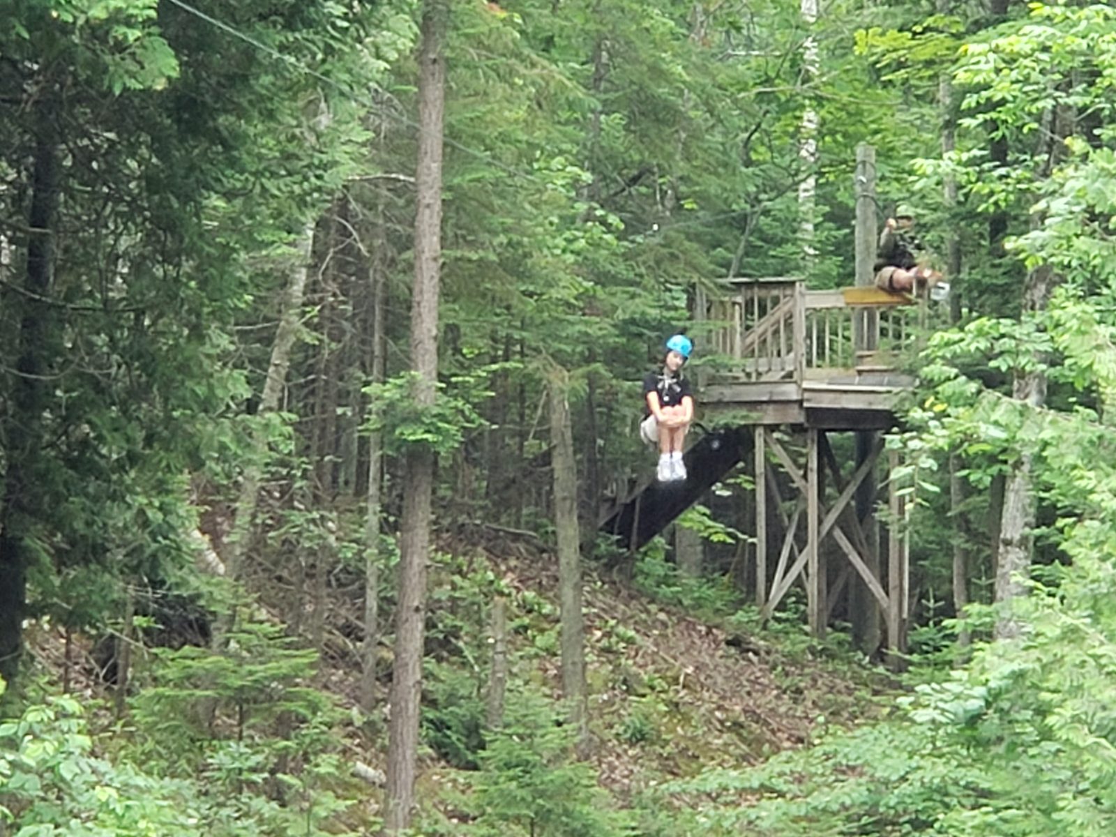Ziplining through the trees at Mill Creek
