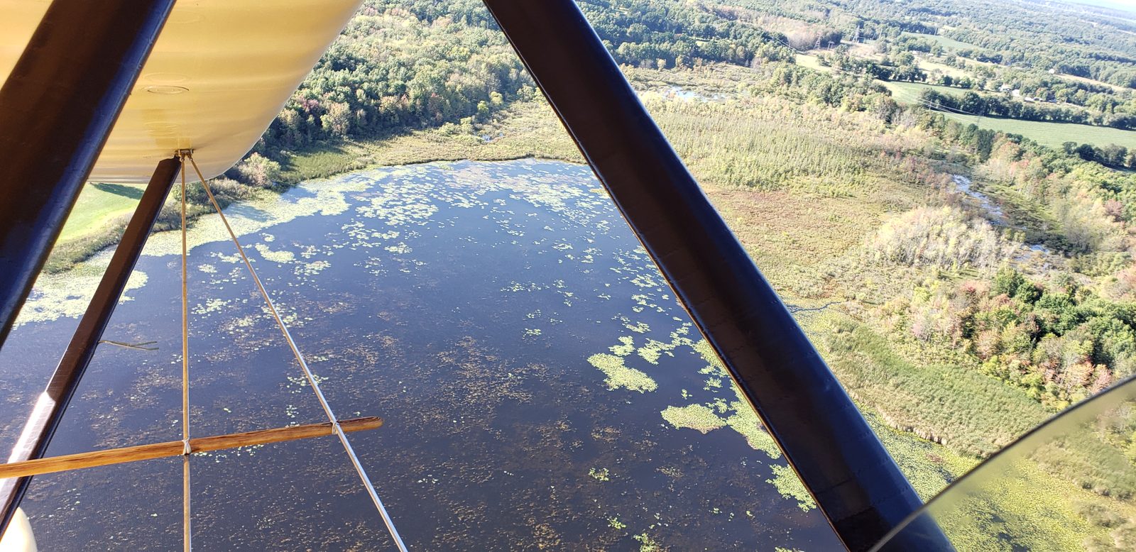 Wetlands passing below the biplane's wing