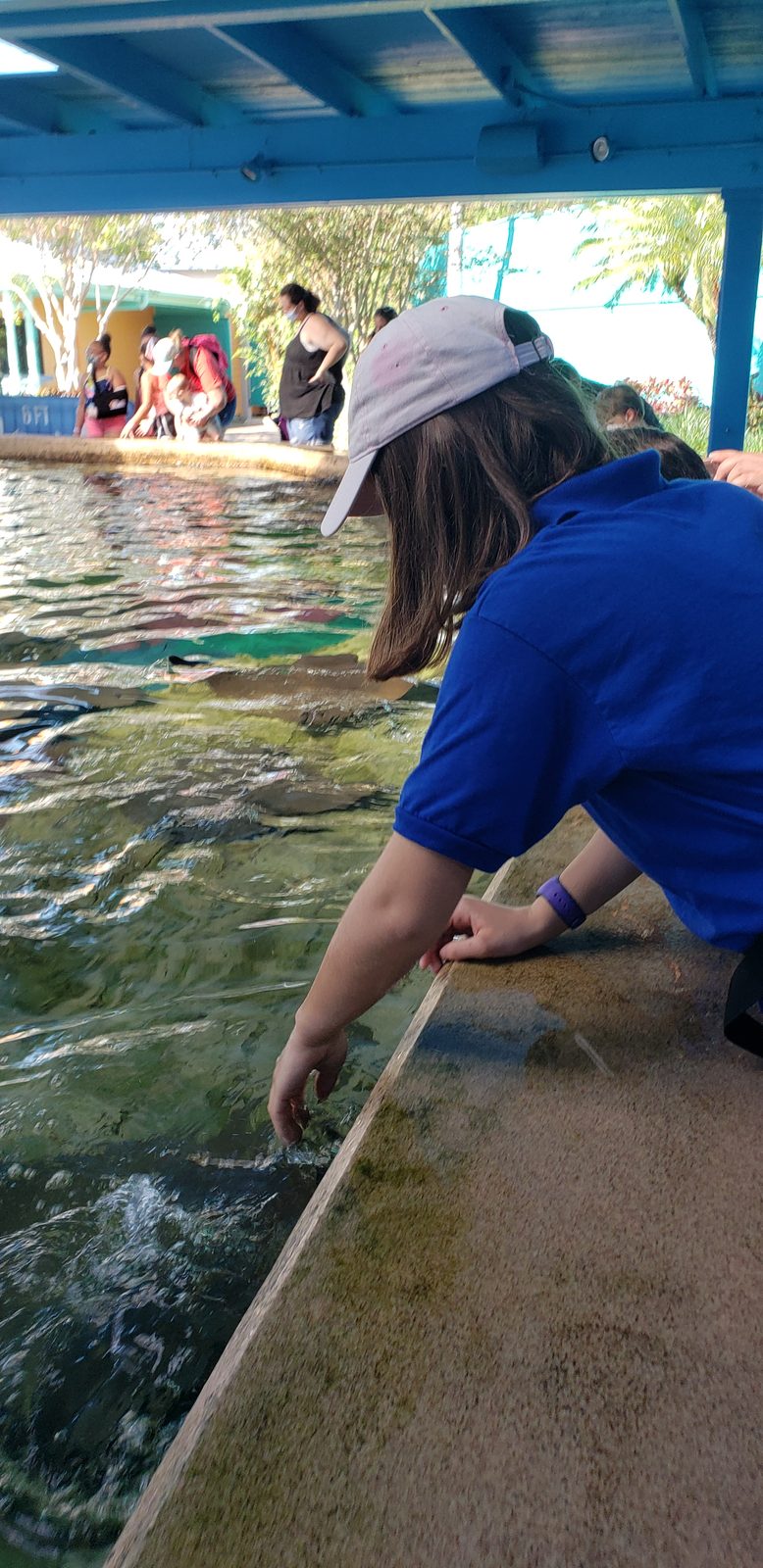 SeaWorld Orlando, FL