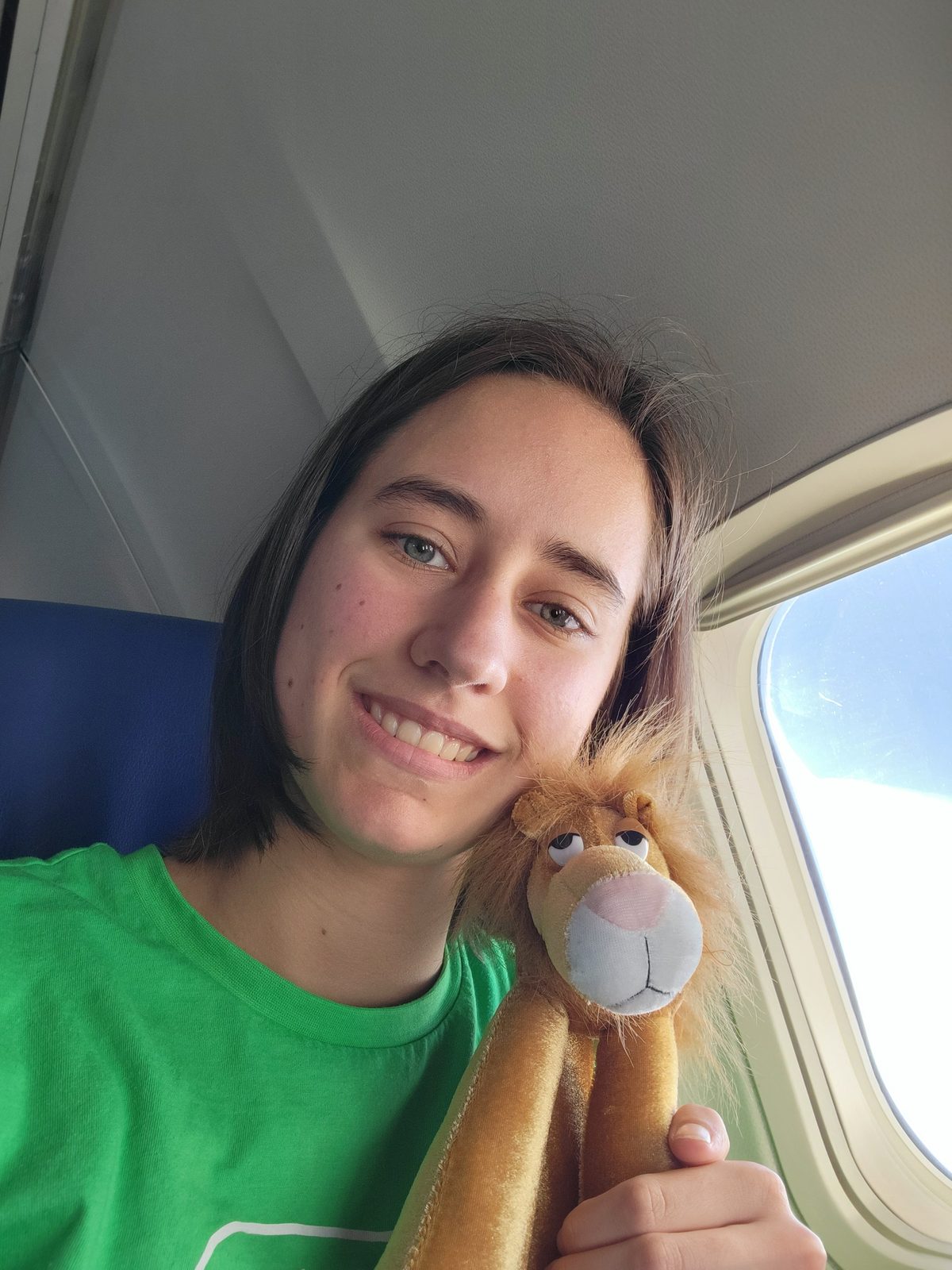 Lisa's travel companion along for the flight