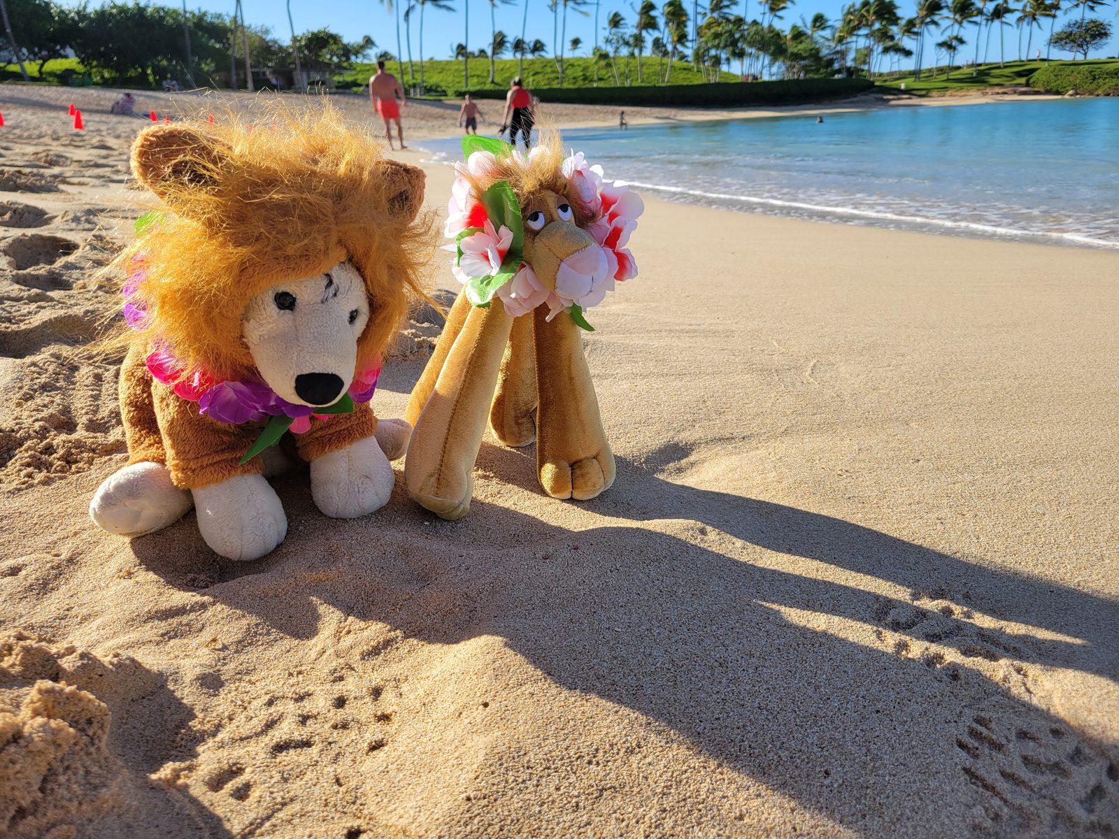 Bob, in his lion's mane, pretending to be Leo