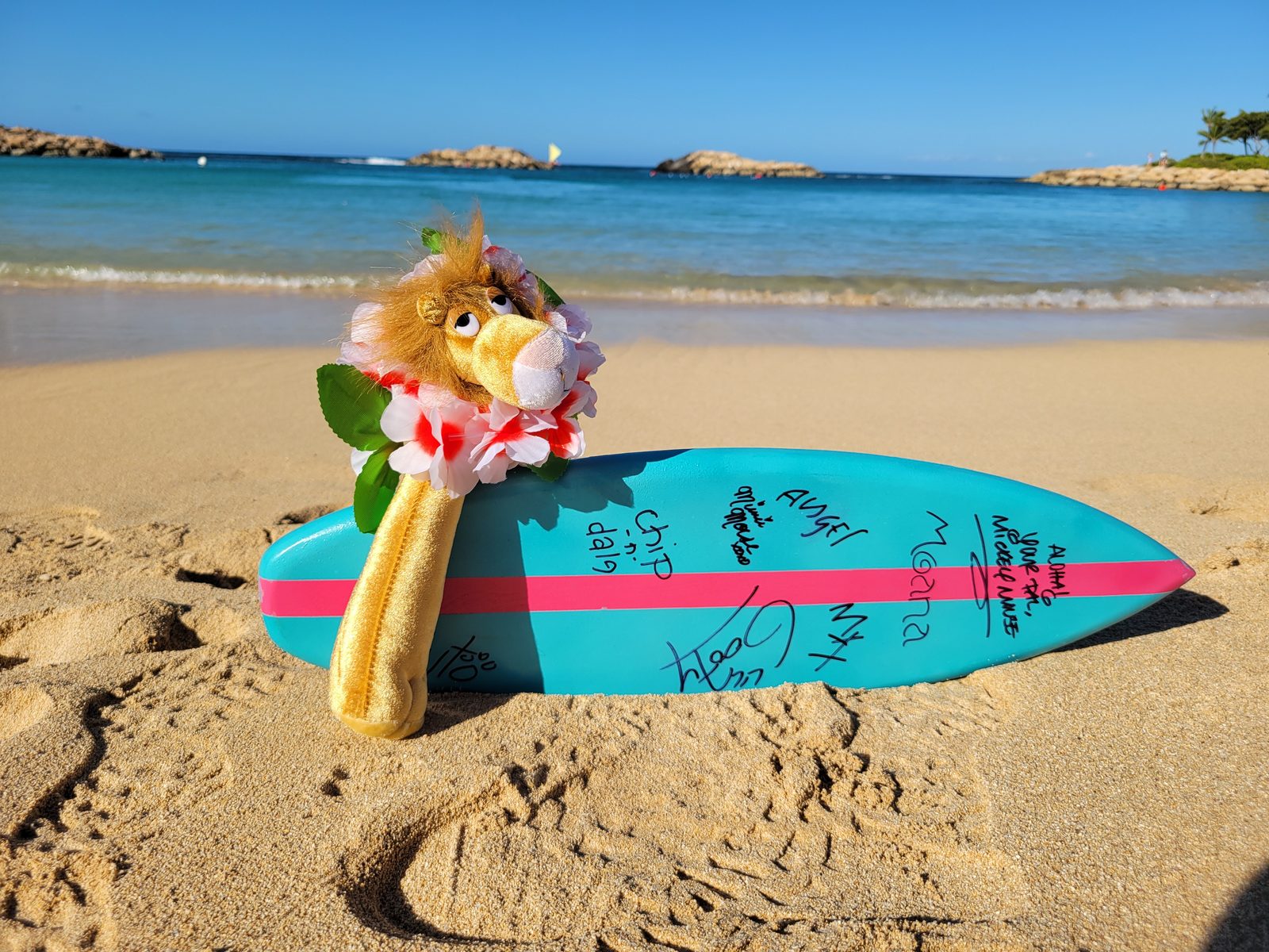 The surfboard signed by Disney characters, in the sand