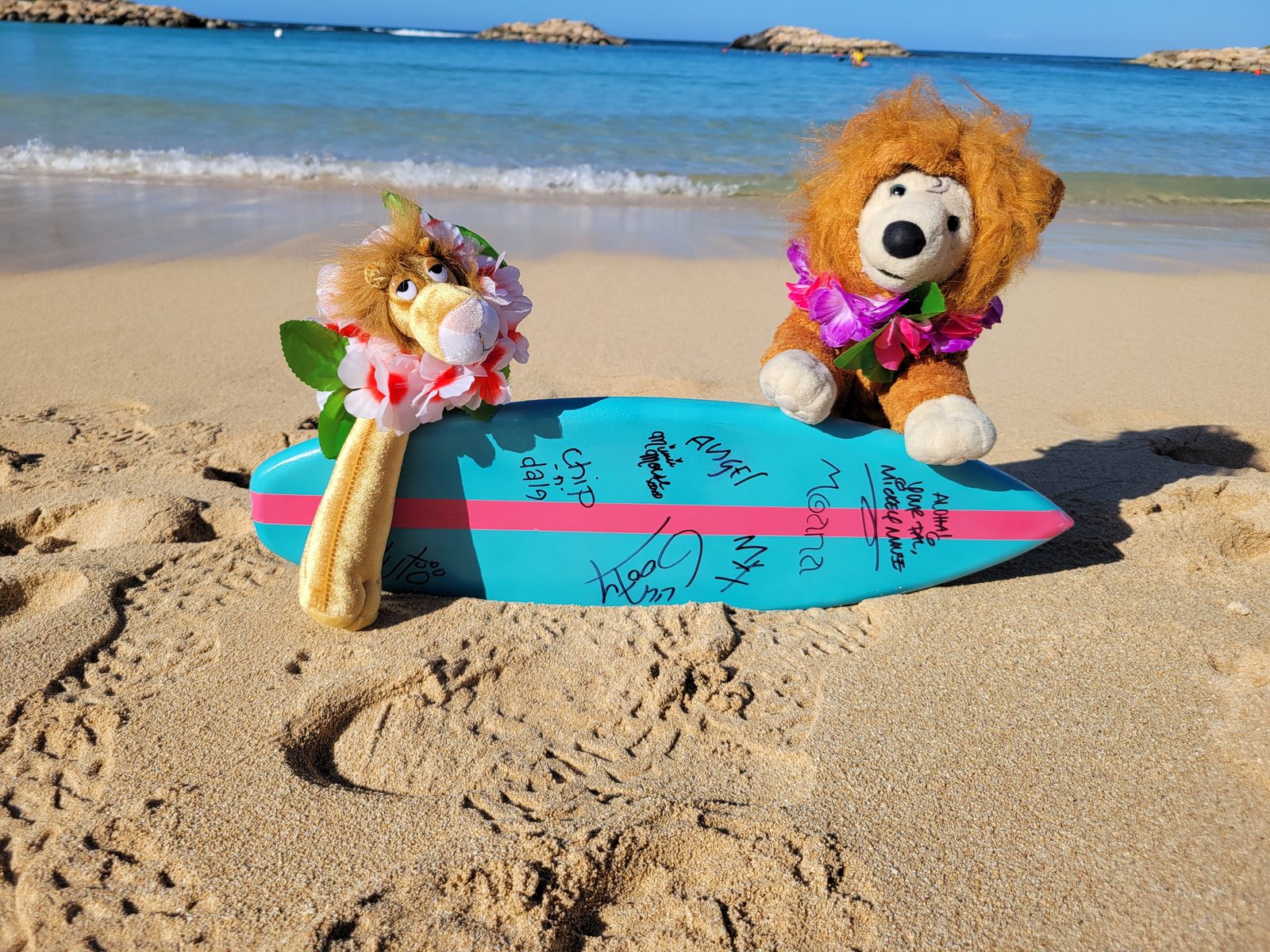 Our travel lions with their surfboard