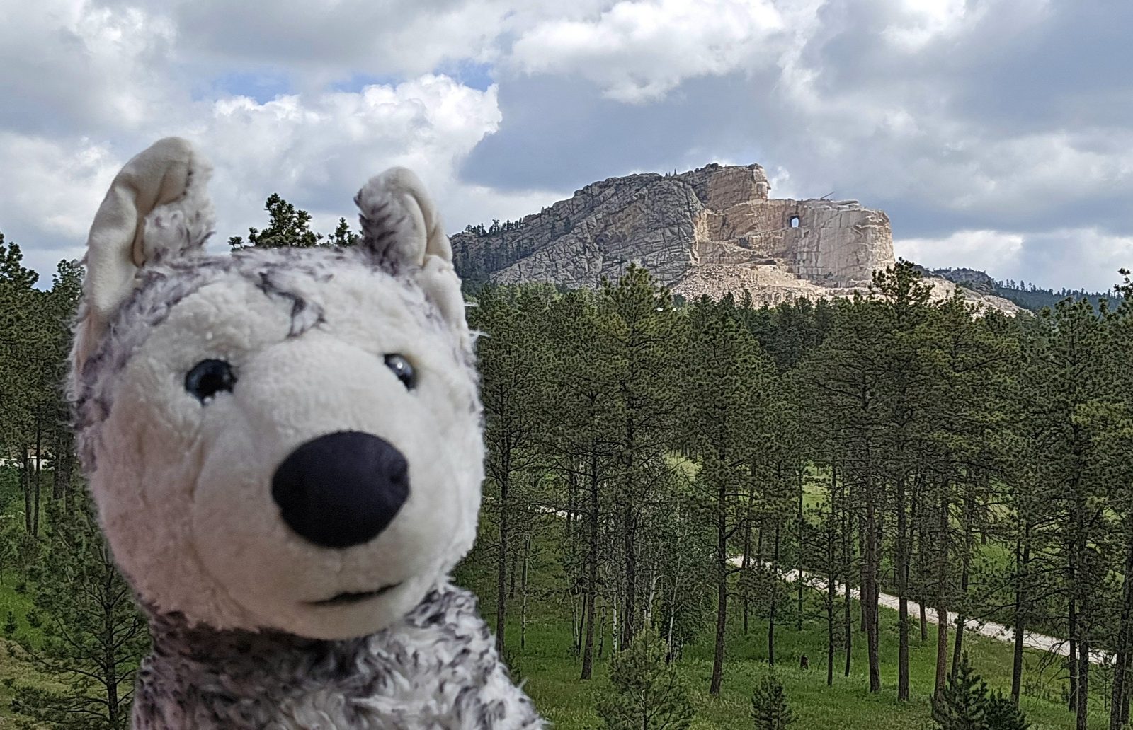 Bob taking in Crazy Horse