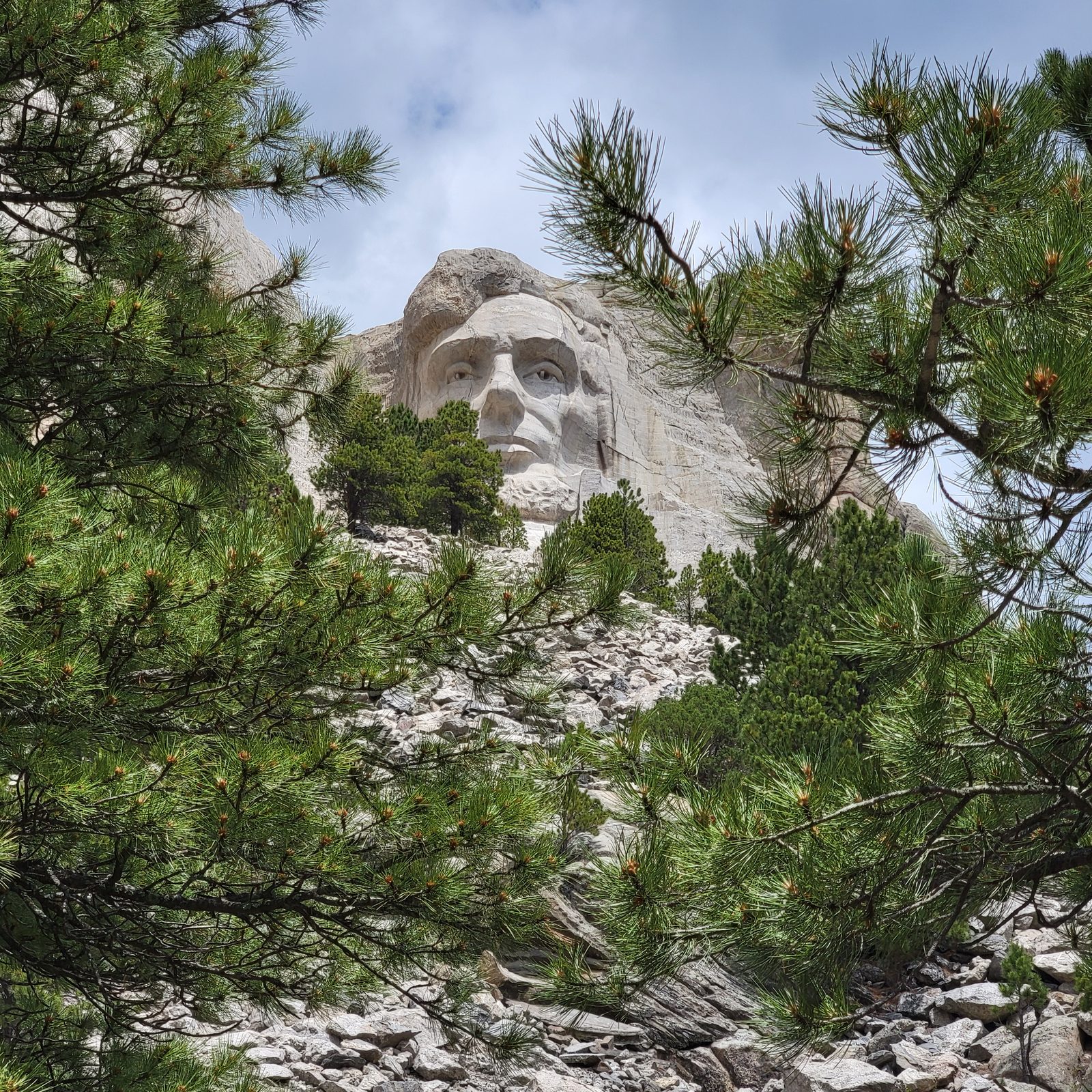 Lincoln through the pine branches at Mount Rushmore