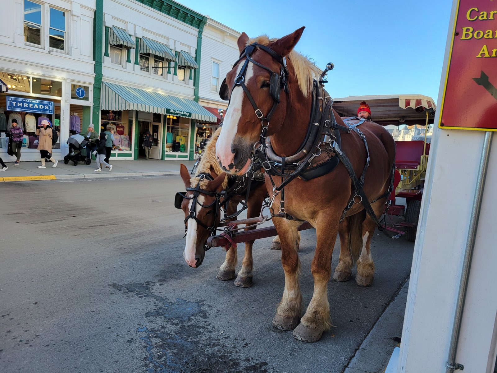 A horse-drawn carriage on Main Street
