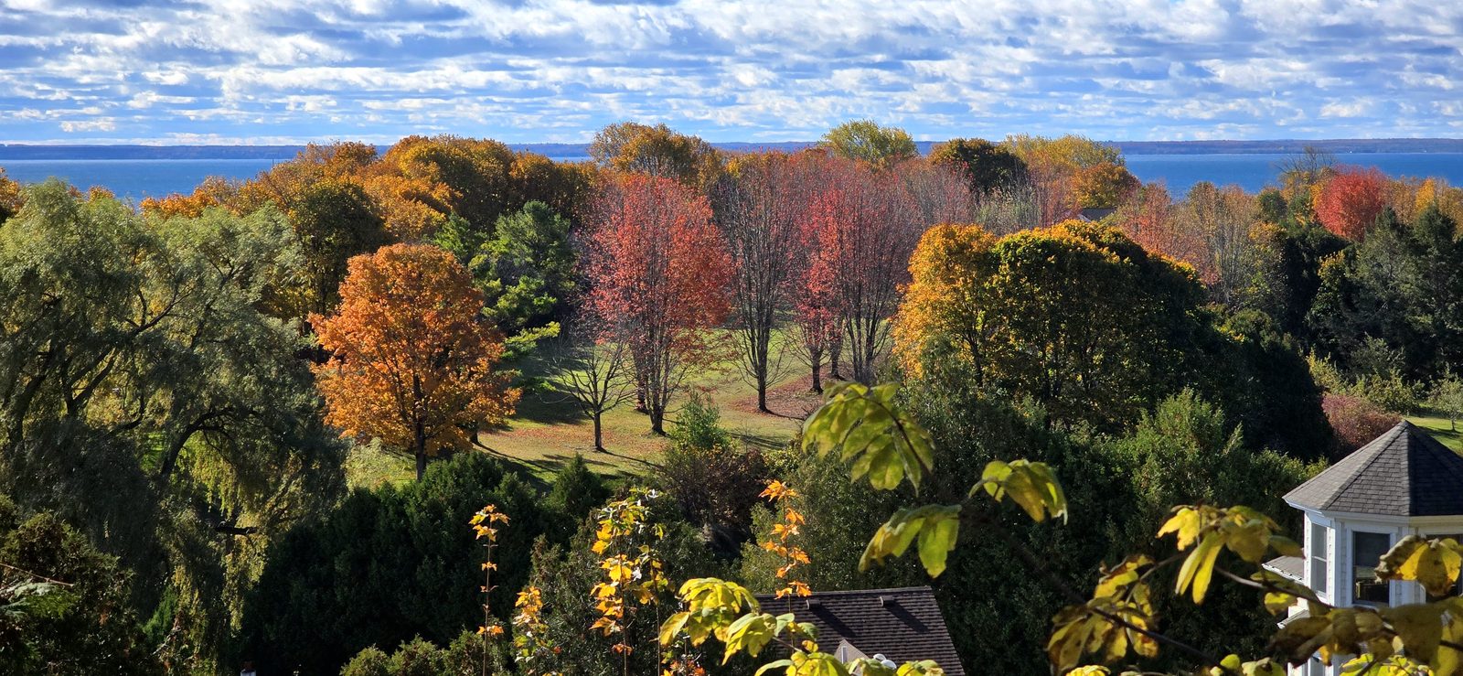 The island in October