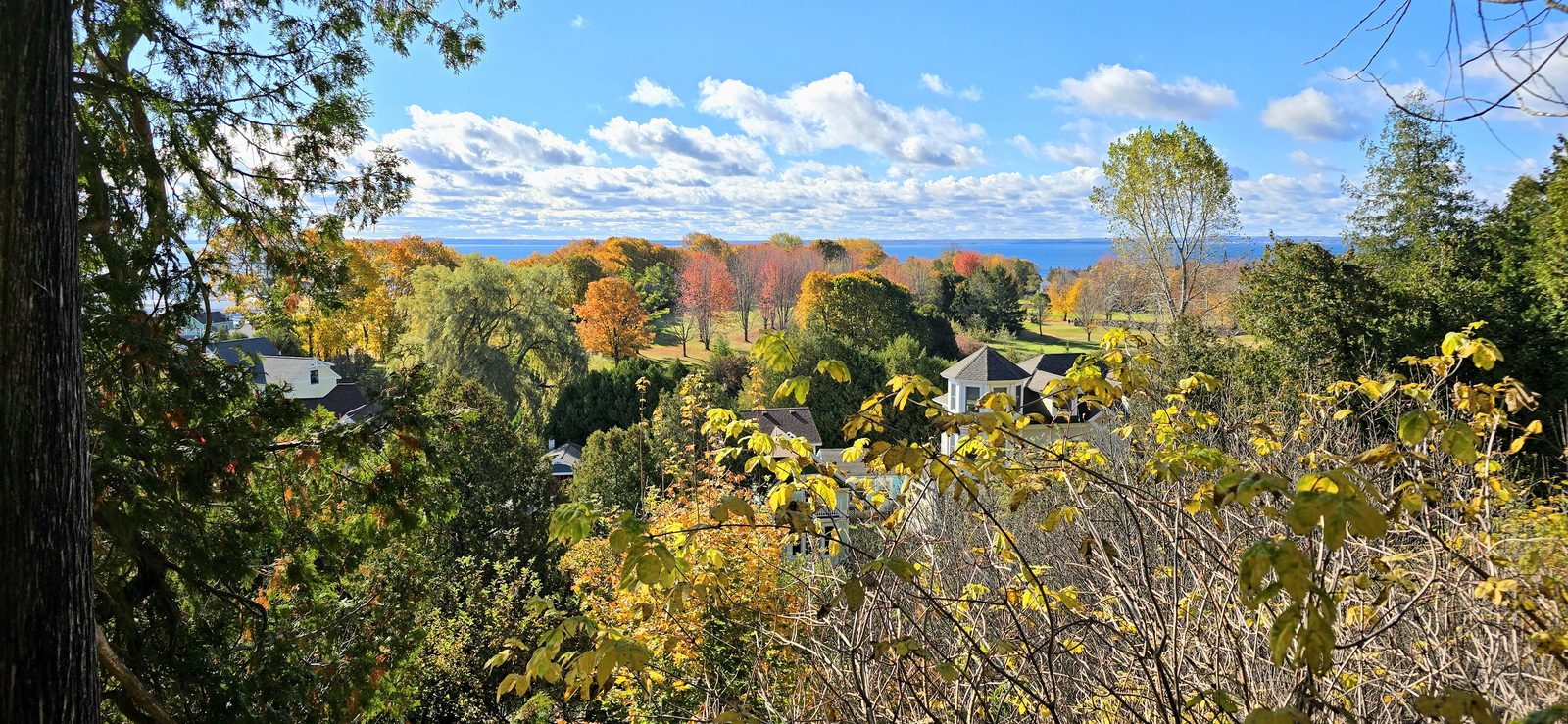 Fall colour over the town from the bluff
