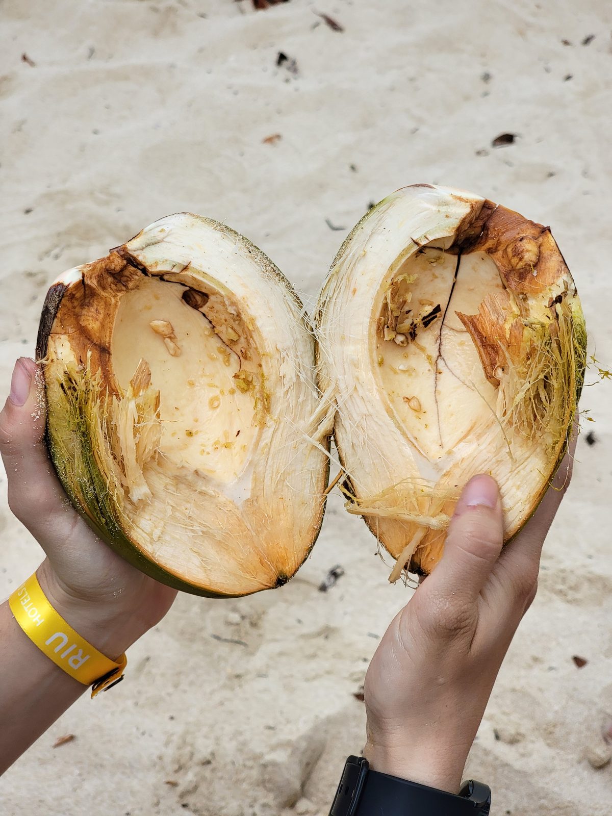 A fresh-cracked coconut on the beach
