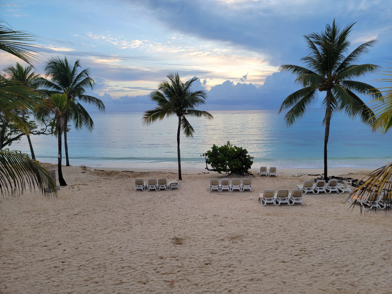 Palms and beach chairs before sunrise