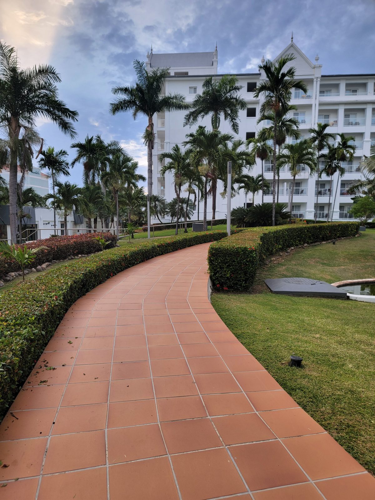 The resort grounds, palms along the path