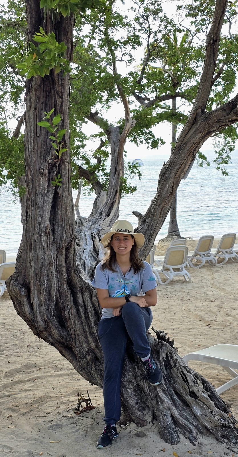 Lisa in the old beach tree at Mammee Bay
