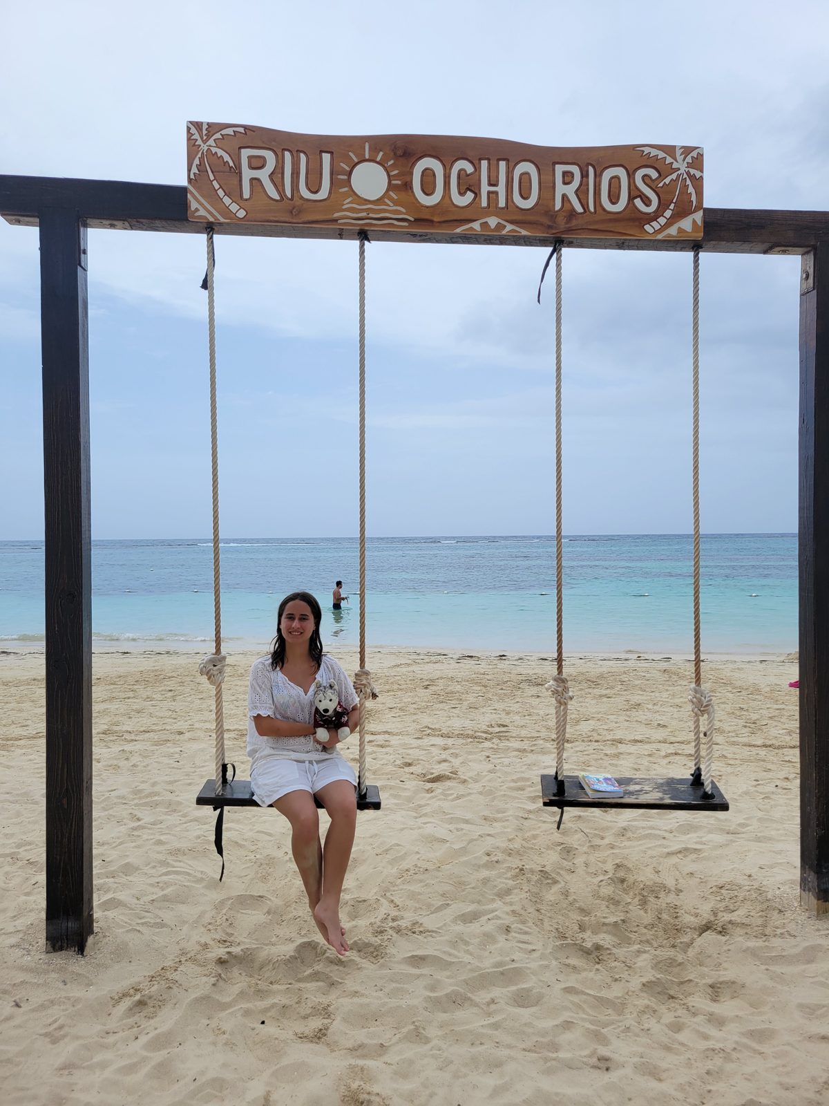 The beach swing