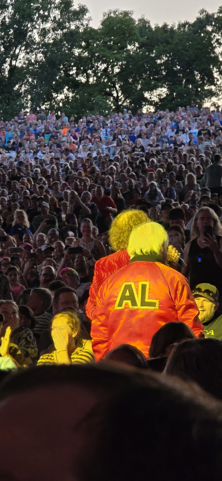 A fan's AL jacket in the crowd