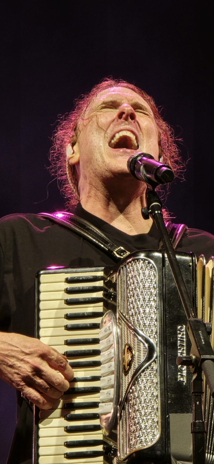 Another song on the accordion
