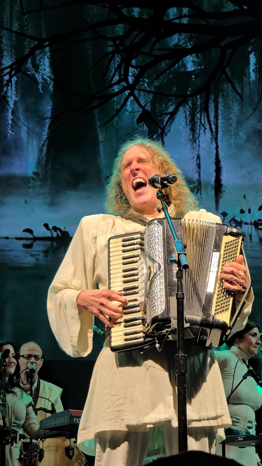Weird Al's bayou themed costume and accordion