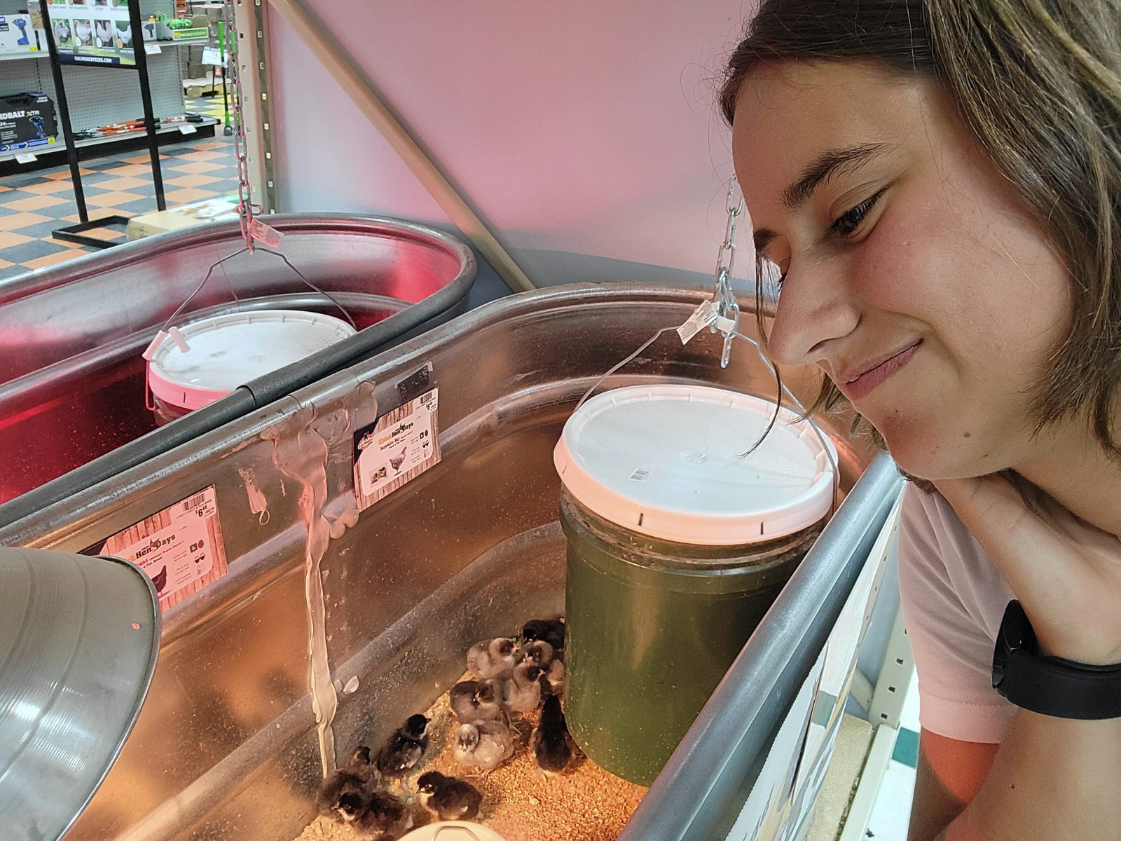 Lisa checking out chicks at a farm stop