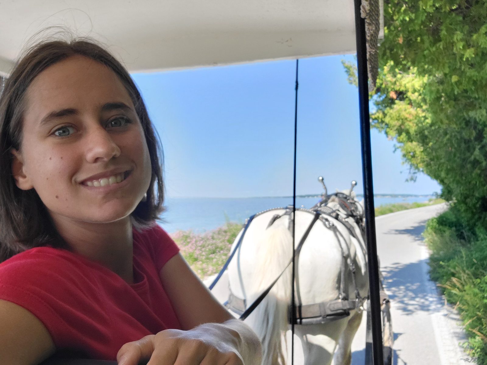Lisa drives the horse and buggy