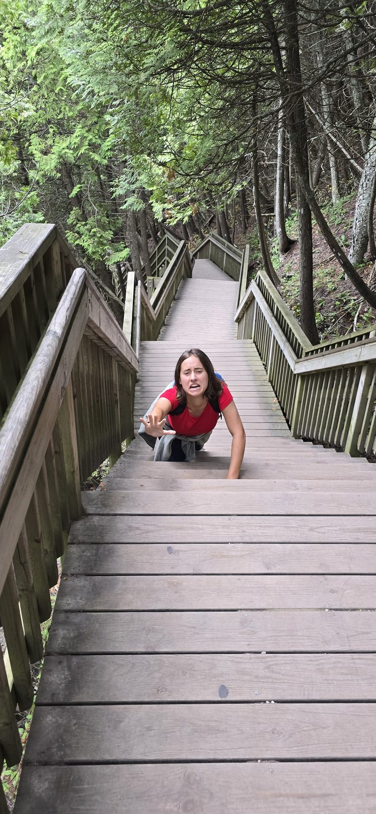 Lisa climbing the boardwalk stairs