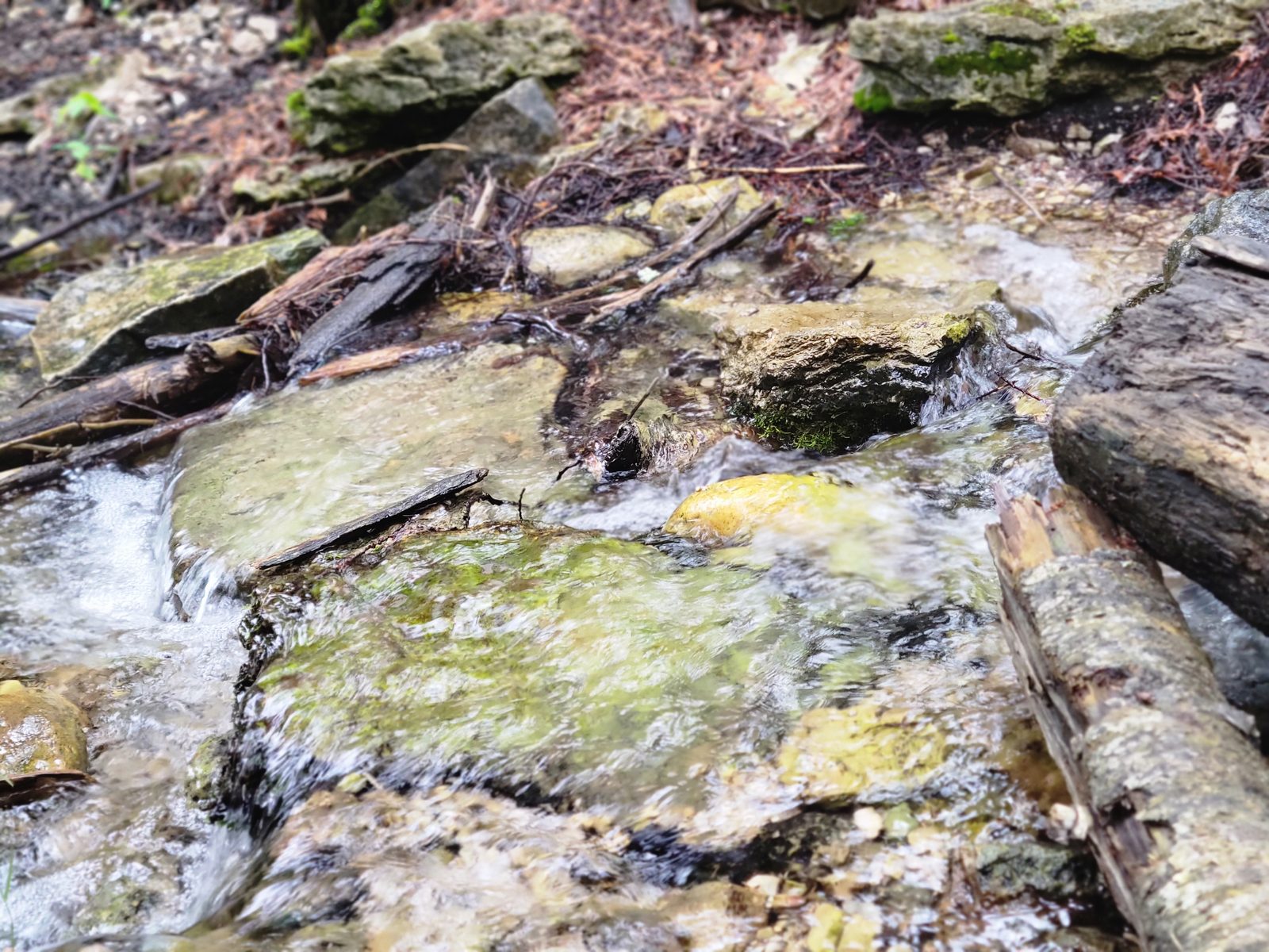 Brown's Brook running clear over the rocks