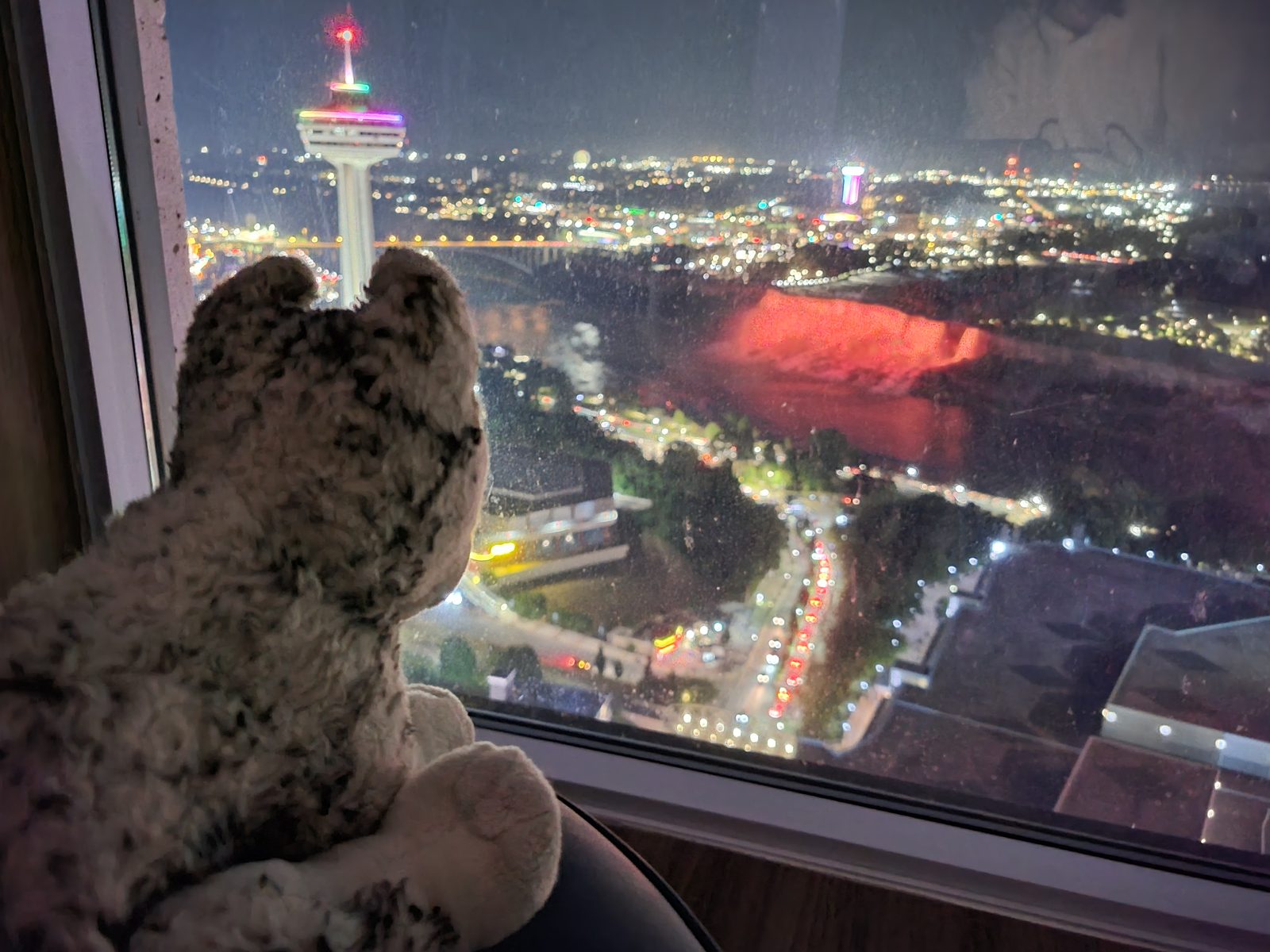 Bob watches the falls lit up at night