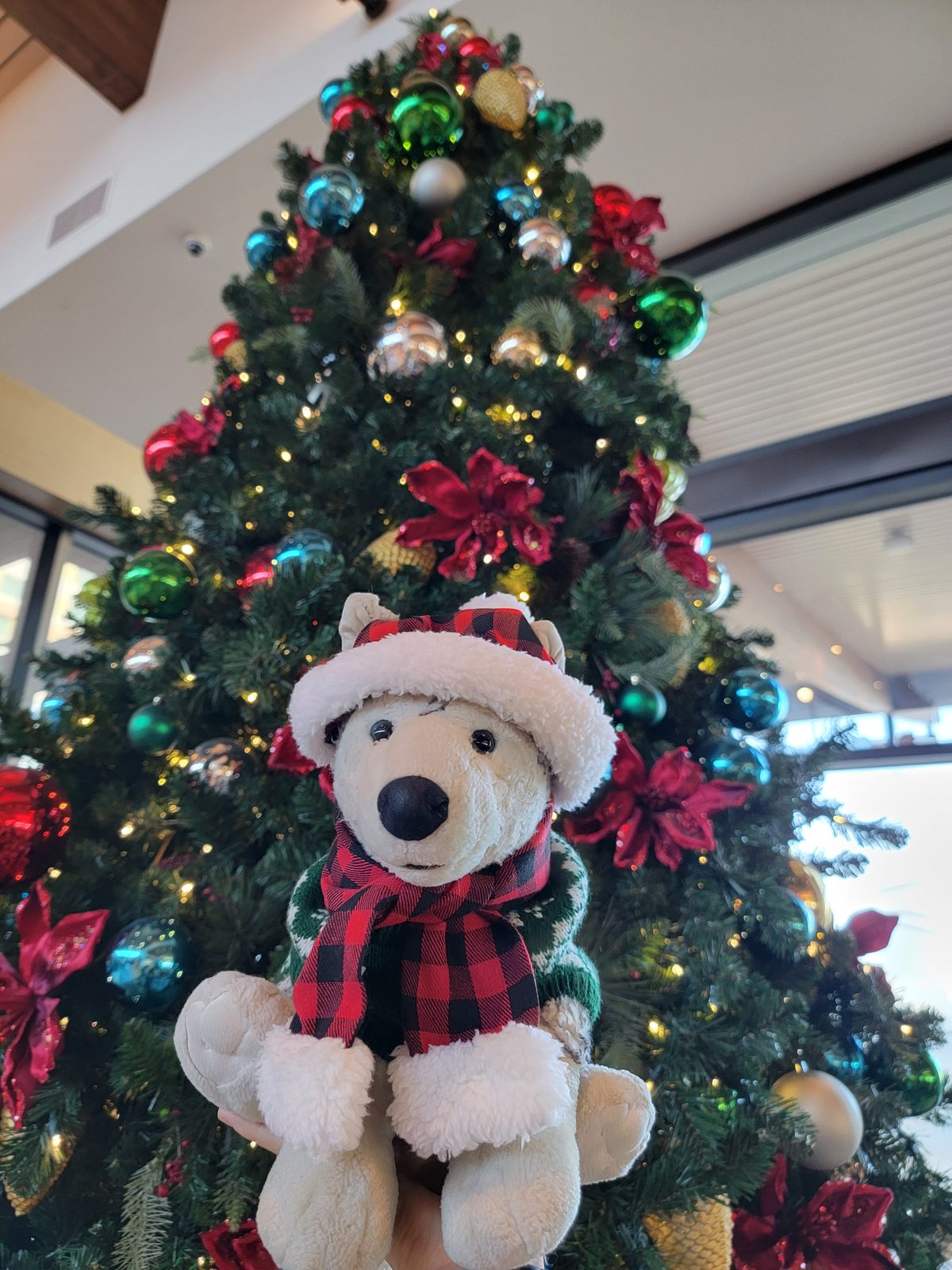 Bob at our resort lobby