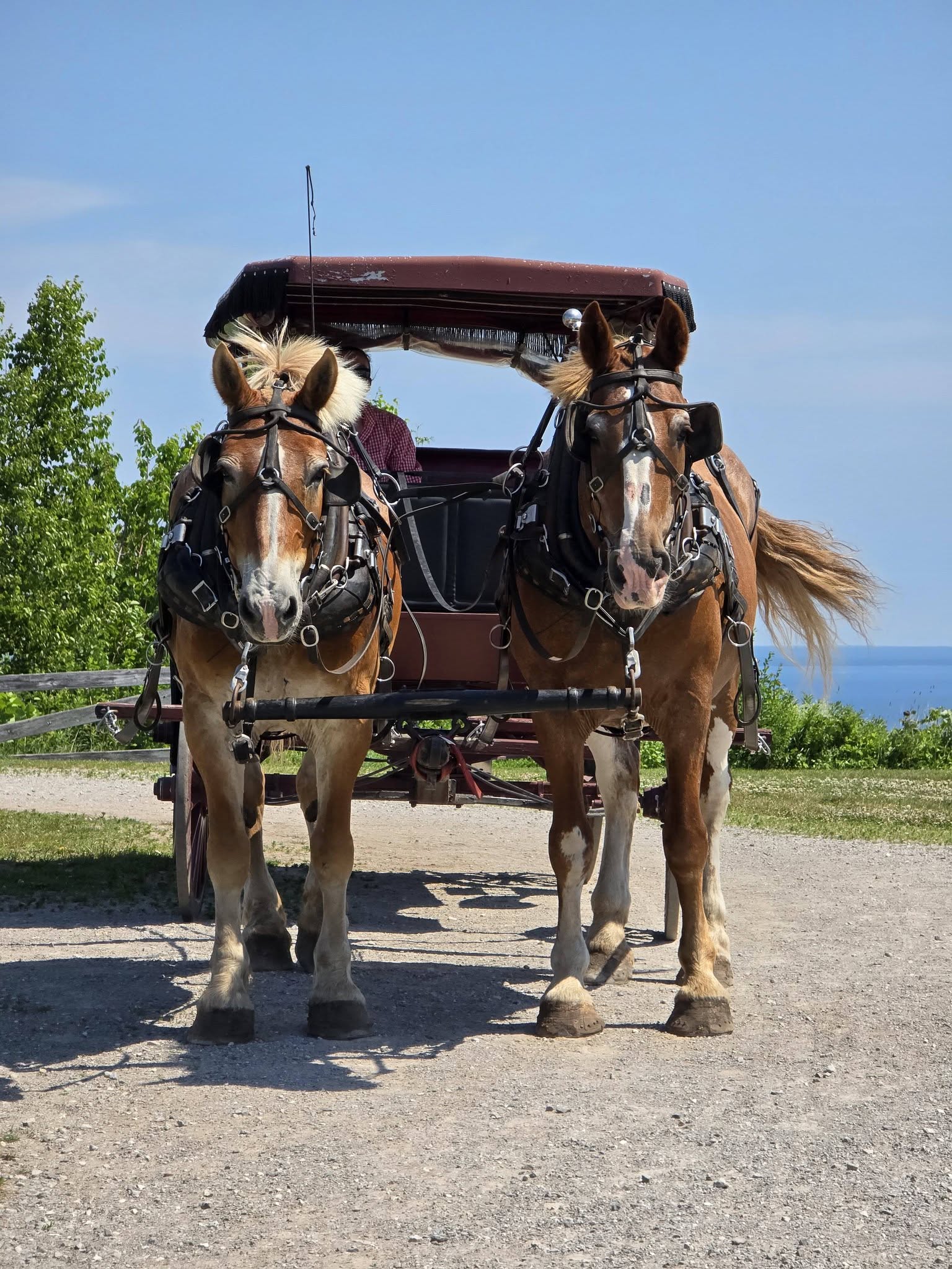 Our carriage team on the private tour of the island