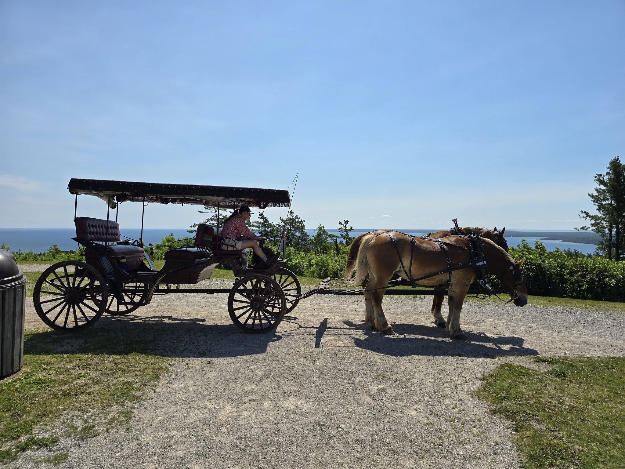 Our carriage waiting at the lookout