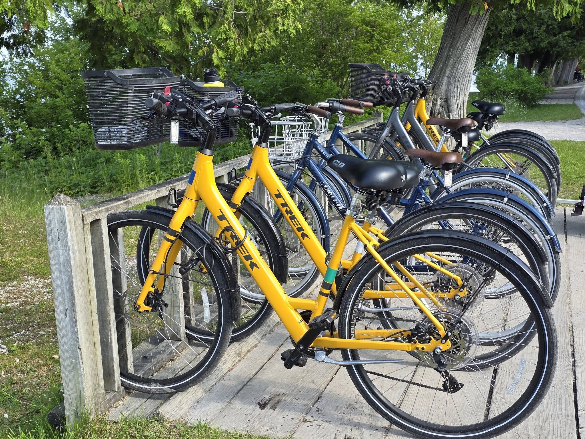 Our rental bikes for the loop around the island