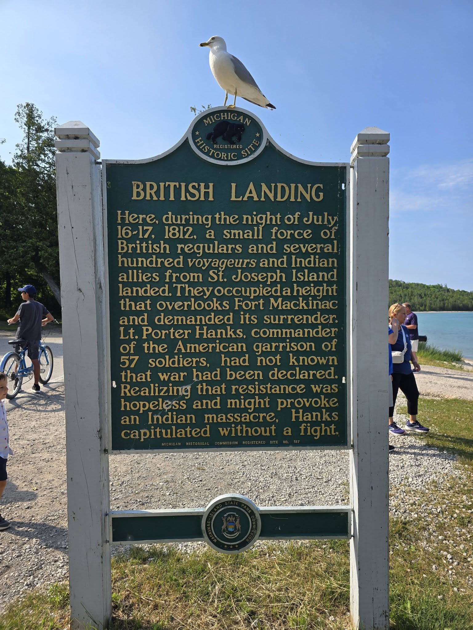 A gull on the British Landing marker