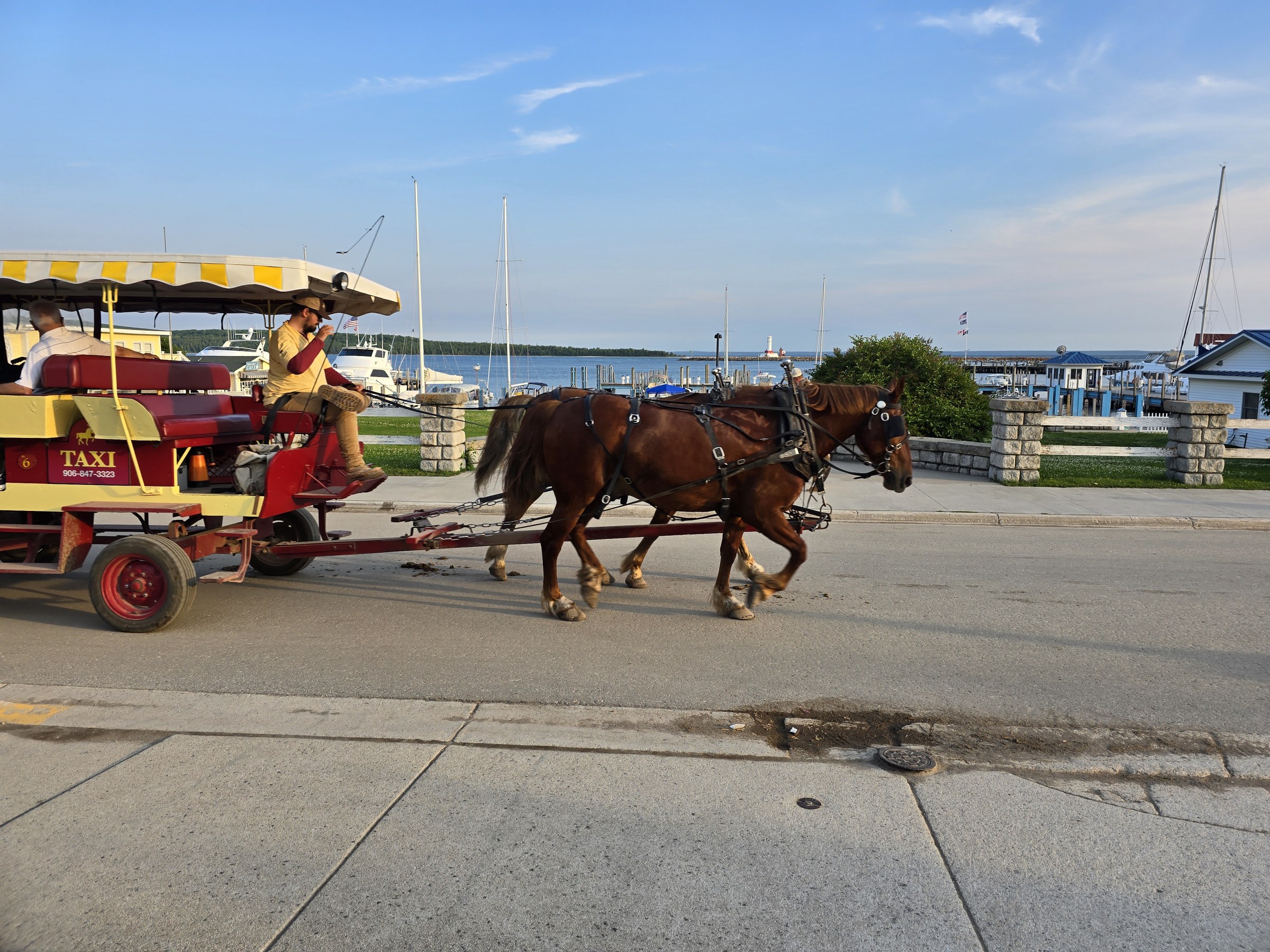 A horse-drawn taxi along the harbor