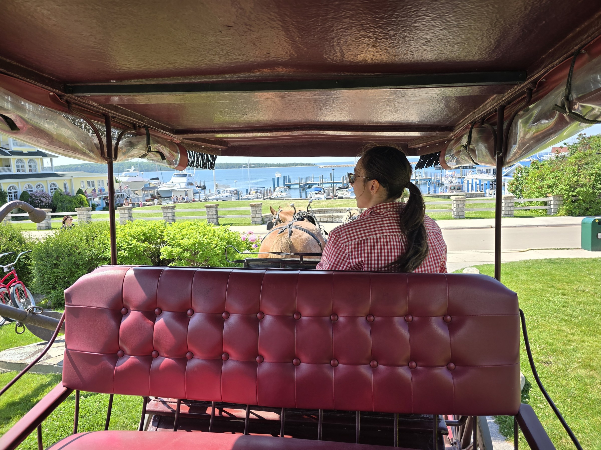 Our carriage driver on the island tour