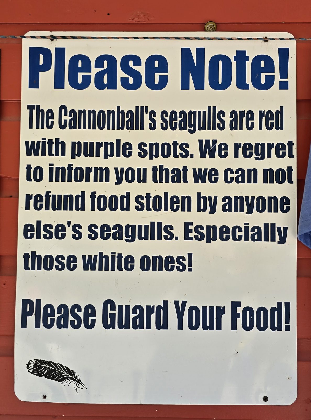 The seagull warning sign at Cannonball's